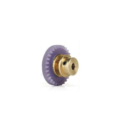 Slot.it Corona 29 Dientes Línea Bronce Step 2