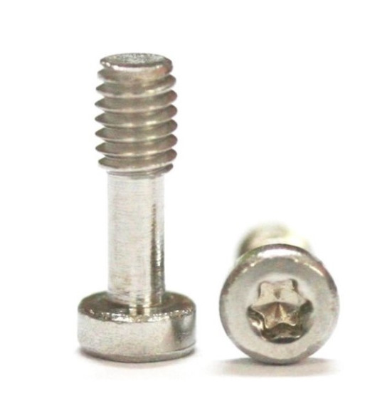 SP159913 Set 20 tornillos Torx T6 M2.5x7.5mm para slot Carrera SP159913 Set 20 tornillos Torx T6 M2.5x7.5mm para slot Carrera