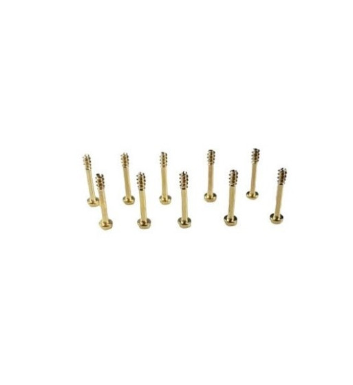 SRC RM1017 tornillo supremex SRC2 M2.1x13 10ud|Tornillo largo slot|Slot-maxi.com