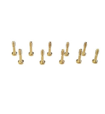 SRC RM1015 tornillo supremex SRC1 M2.1x8 10ud|Slot tornillo SRC1|Slot-maxi.com