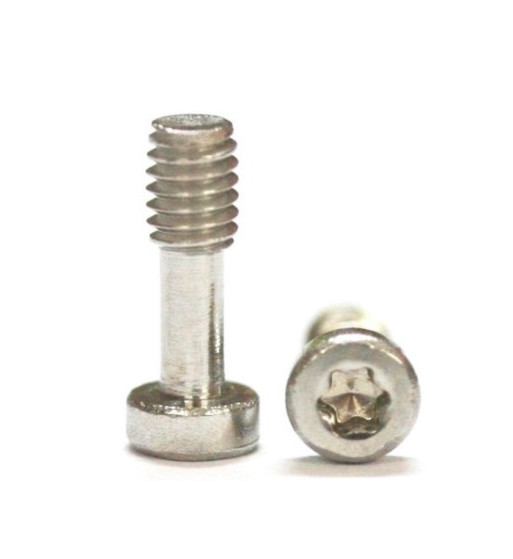 Sloting Plus SP159913 20 tornillos M2.5x7.5mm Torx T6 carrocerías Carrera|Tornillos Torx slot|Slot-maxi.com