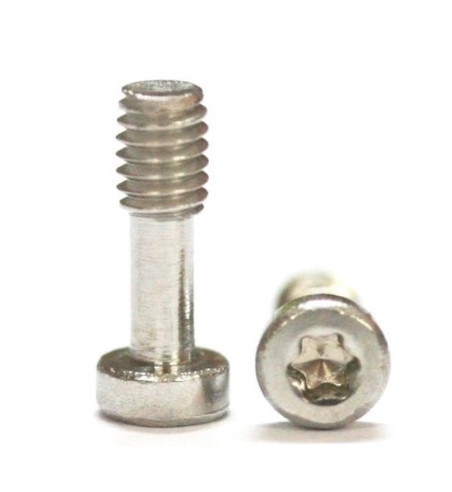 Sloting Plus SP159913 20 tornillos M2.5x7.5mm Torx T6 carrocerías Carrera|Tornillos Torx slot|Slot-maxi.com