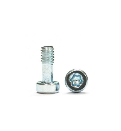 Tornillos M2,1x5mm Torx T6 Sloting Plus SP159911