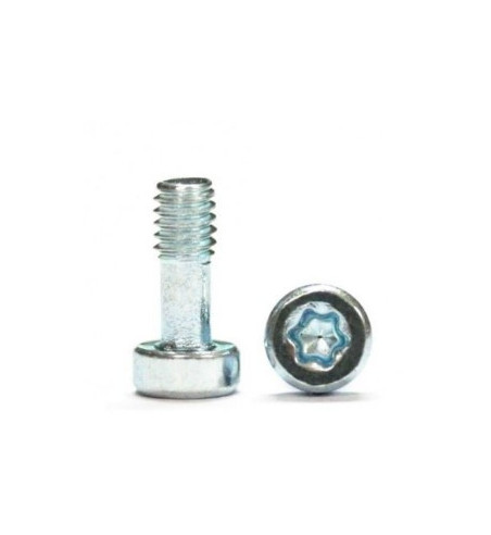 Tornillos M2,1x5mm Torx T6 Sloting Plus SP159911