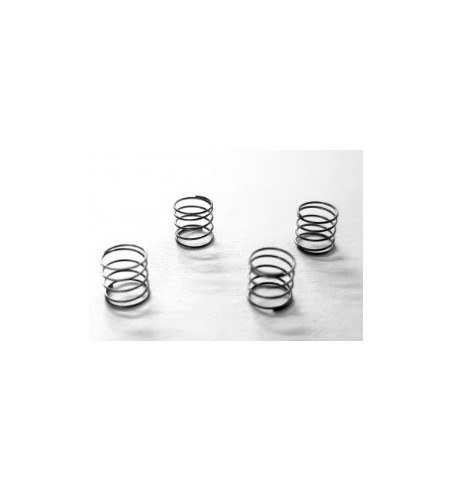 Kit muelles trasero bancada L5x4E SRC RM0830