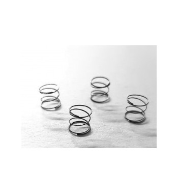 Kit muelles trasero bancada L4.5x4E SRC RM0822