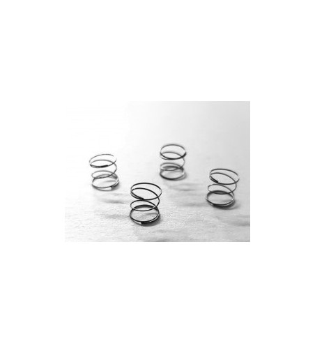 Kit muelles trasero bancada L4.5x4E SRC RM0822