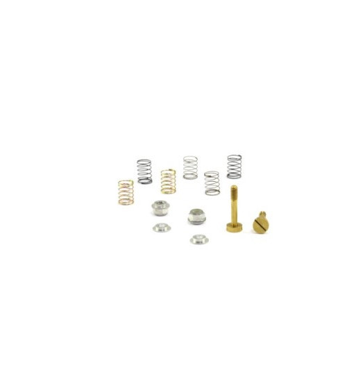 Kit muelles suspensión RT corta SC-5128B