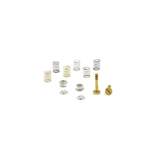 Kit muelles suspensión RT corta SC-5128B