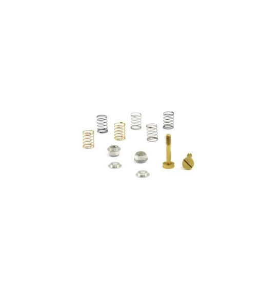 Kit muelles suspensión RT larga SC-5128A