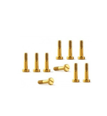 Tornillos suspensión 2.2x9mm NSR 4869