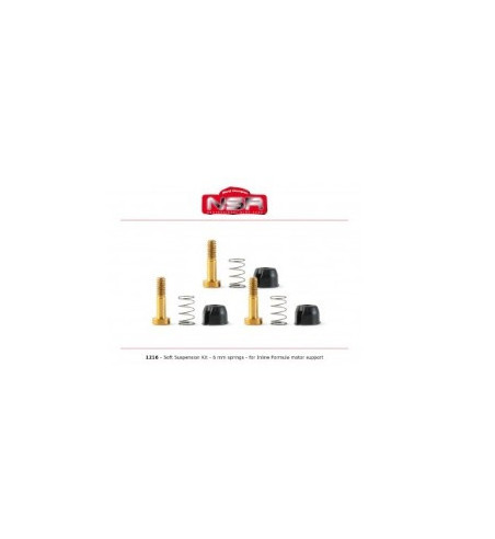 Suspensión blanda Formula 1 NSR 1216