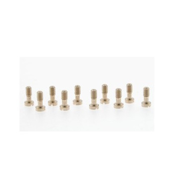 Tornillos 2.2x5.3mm cabeza pequeña SI-CH53