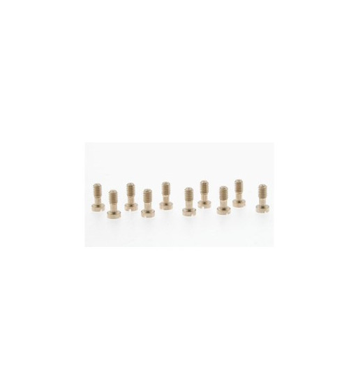 Tornillos 2.2x5.3mm cabeza pequeña SI-CH53