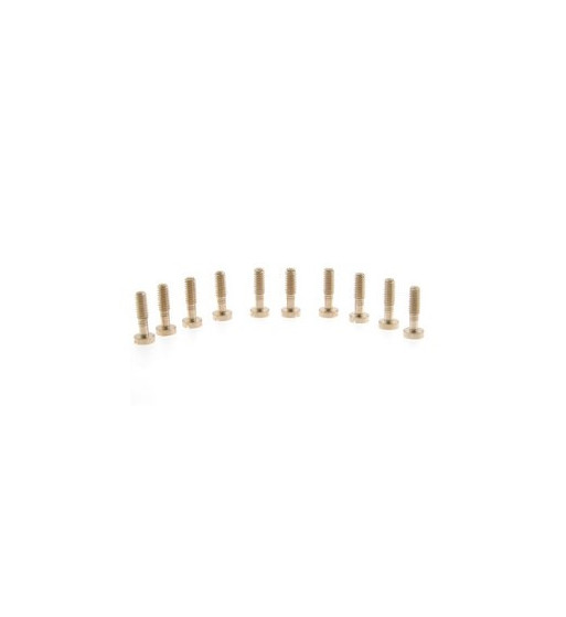 Tornillos 2.2x8mm cabeza grande SI-CH52