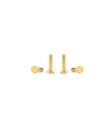 Tornillos carrocería basculantes NSR 4834