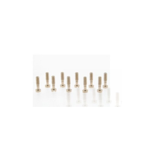Tornillos 2.2x8mm cabeza pequeña SI-CH51