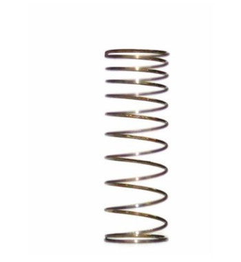 Muelle flexibilidad variable para suspensión SP117030
