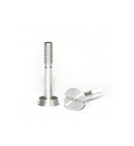 Tornillos suspensión M2x13 SP114020