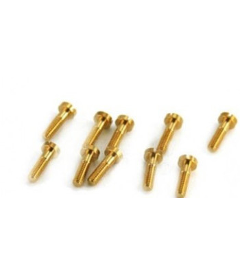 Tornillos basculantes 2.2x6.5mm NSR 4839