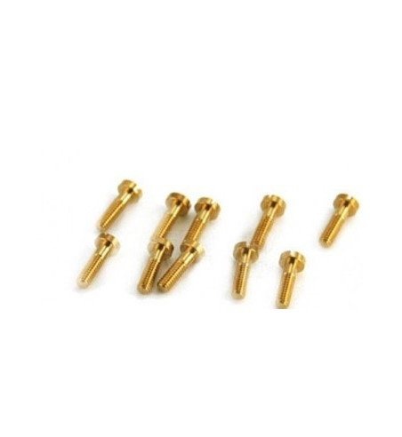Tornillos basculantes 2.2x6.5mm NSR 4839