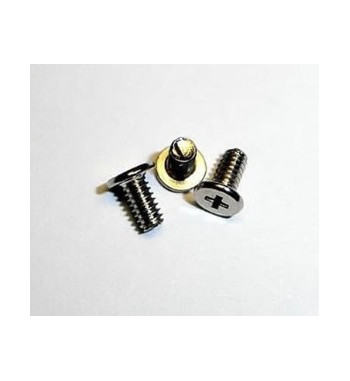 Tornillos Philips cabeza fina sujeción motor métrica 2x4 TT1701 Tectime