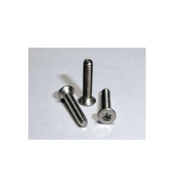 Tornillo torx cónico métrica 2x10 TT142 Tectime