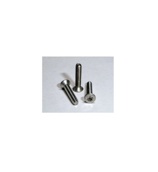 Tornillo torx cónico métrica 2x10 TT142 Tectime