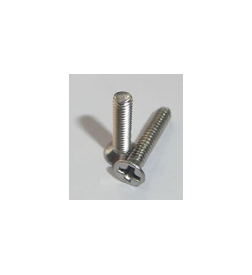 Tornillo Philips cónico métrica 2x10 TT132 Tectime