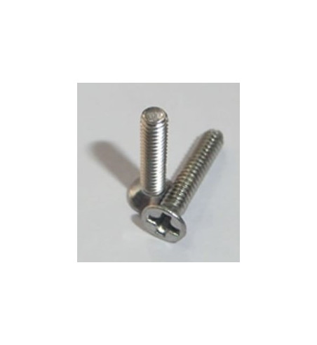Tornillo Philips cónico métrica 2x10 TT132 Tectime