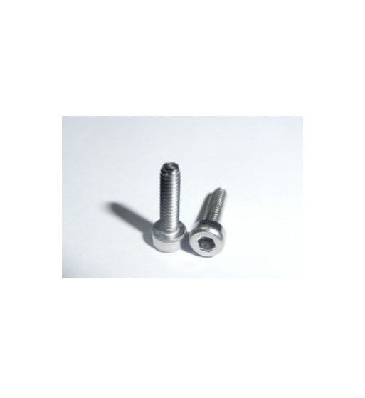 Tornillos allen métrica 2x8 TT113 Tectime
