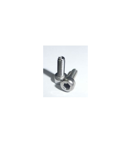 Tornillos allen métrica 2x5 TT111 Tectime