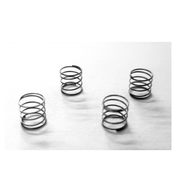 Kit muelles trasero bancada L5x5E SRC RM0831 | Slot pro