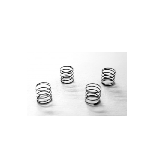 Kit muelles trasero bancada L5x5E SRC RM0831 | Slot pro