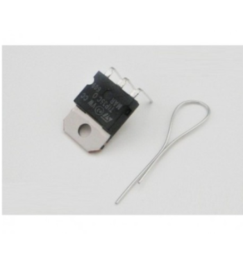 PMTR2021 Transistor de polaridad positiva - Slot Maxi