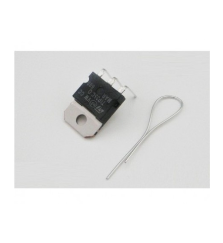 PMTR2021 Transistor de polaridad positiva - Slot Maxi